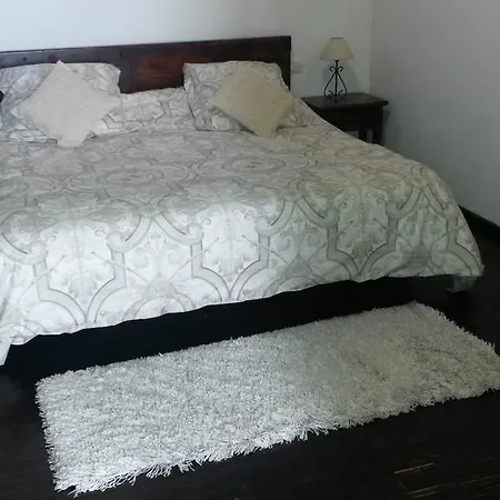 Casa Canaria La Moncloa 別荘